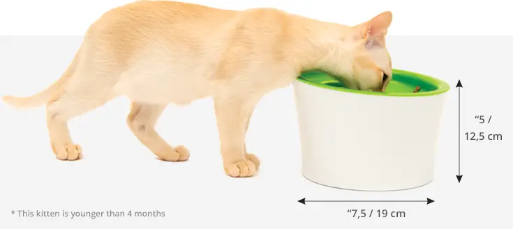 Catit Multi Feeder 2.0 Foderautomat